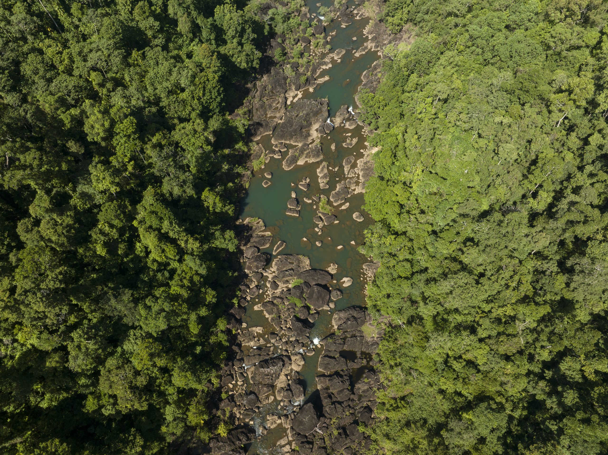 An aerial photograph looking down on the Tully River and surrounding greenery